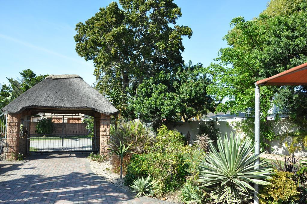 Walmer Heights Guest House Port Elizabeth Exterior photo